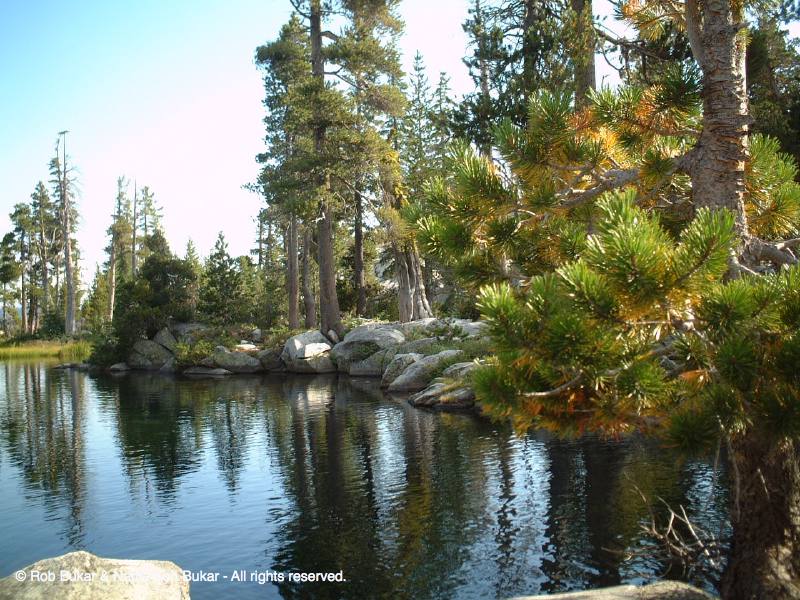 View From Campsite