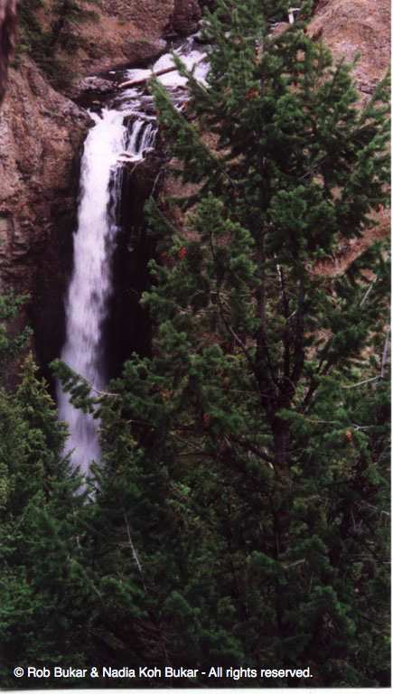 Falls Northern Yellowstone