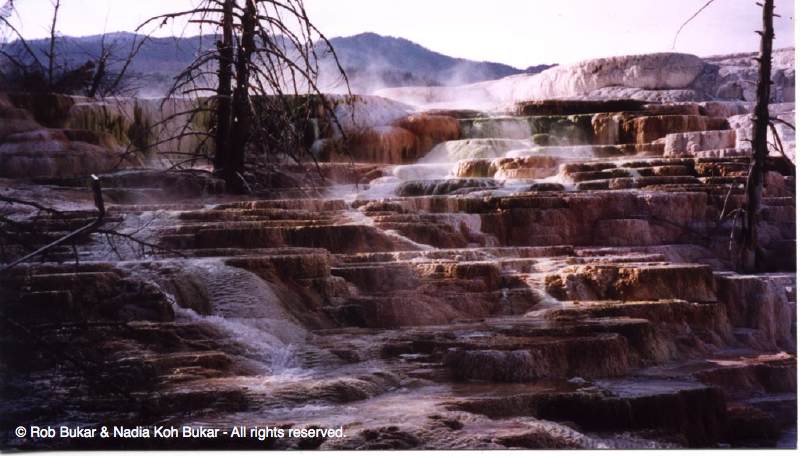 Mammoth Hot Spring