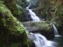 Falls, Botanical Gardens, Hilo